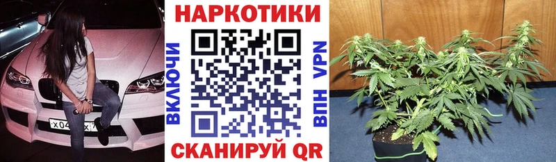 Цена Купино ГАШИШ  АМФЕТАМИН  КОКАИН  Меф  МАРИХУАНА  Метадон  A PVP 