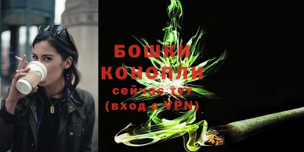 шишки Богородицк