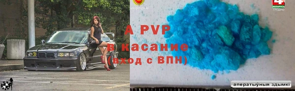 шишки Богородицк