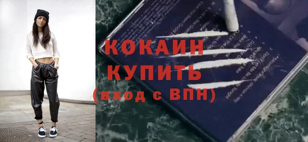 шишки Богородицк