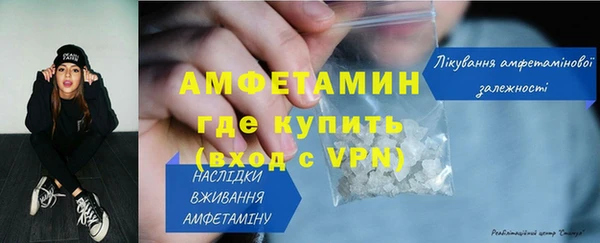 шишки Богородицк
