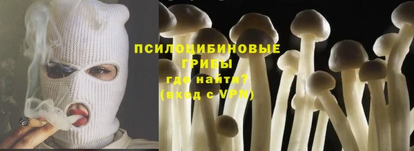бошки Богородск