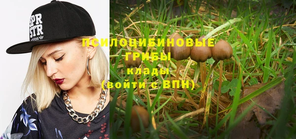 шишки Богородицк