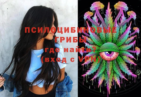 шишки Баксан