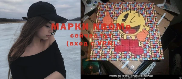 шишки Богородицк