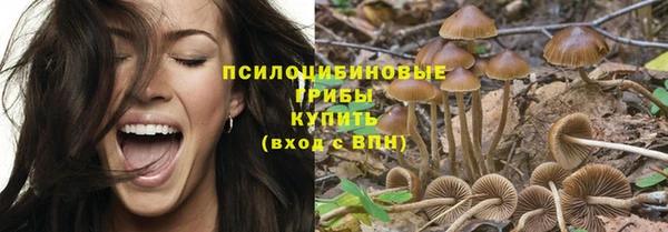 шишки Богородицк