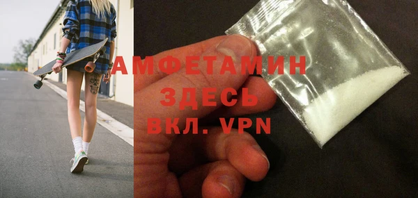 шишки Богородицк